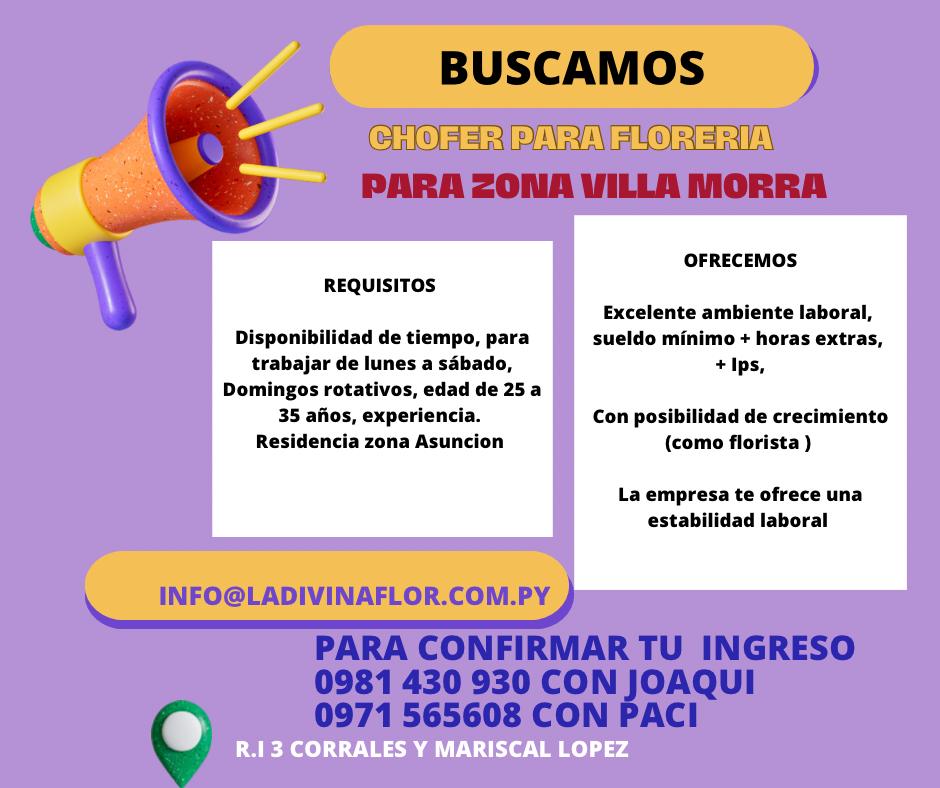 Oferta Laboral